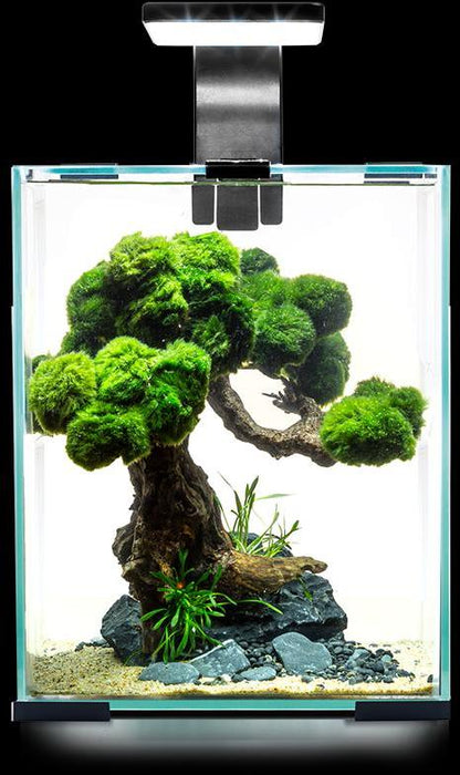 AQUAEL Akvarijski set Shrimp Smart Day&Night, crni