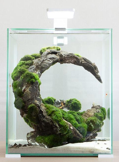 AQUAEL Akvarijski set Shrimp Smart Day&Night, bijeli