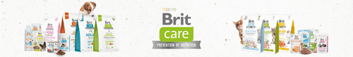 Brit Care banner