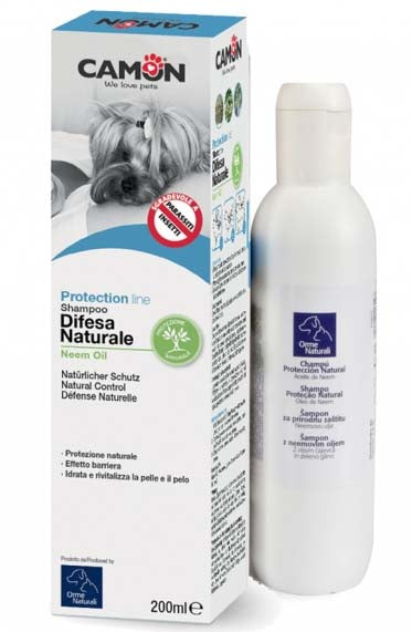 PROTECTION Šampon s uljem Neema, čajevca i glinom 200 ml