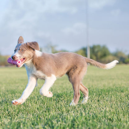 KONG Igračka za štence Puppy Teething Stick, M - 4,5x9x4,5cm
