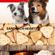 FLAMINGO Hrskavi biskviti za pse Sandwich Hearts, 500g