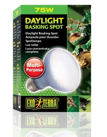 EXO TERRA Terarijska žarulja Daylight Basking Spot