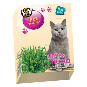 LOLO PETS CLASSIC Trava za mačke, sjeme za klijanje, 100g