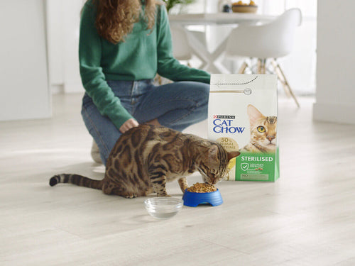 Mačka jede Cat Chow hranu iz zdjelice