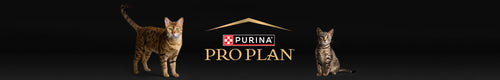 Pro Plan hrana za macke banner desktop