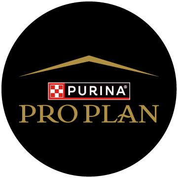 Pro Plan