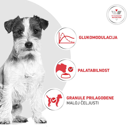 RC VHN Small Dog Glycobalance, za regulaciju opskrbe glukozom, 1,5kg