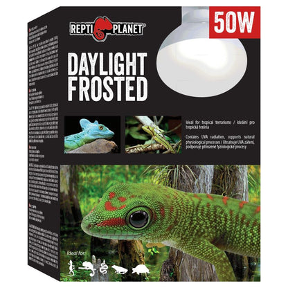 REPTI PLANET Terarijska žarulja Daylight Frosted