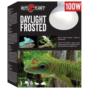 REPTI PLANET Terarijska žarulja Daylight Frosted