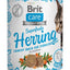 BRIT CARE Superfruits, haringa, hrskava poslastica bez žitarica, 100g