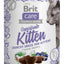 BRIT CARE Superfruits KITTEN, hrskava poslastica, bez žitarica, 100 g
