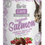 BRIT CARE Superfruits Salmon, hrskava poslastica, losos, bez žitarica, 100g