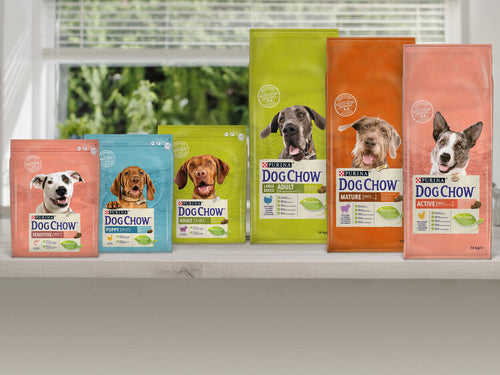 Asortiman Dog Chow hrane za pse