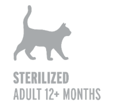 Devora Sterilized