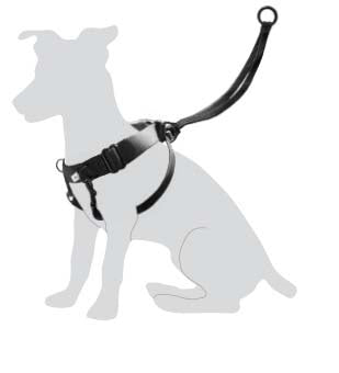 FLAMINGO Orma Easy Walker