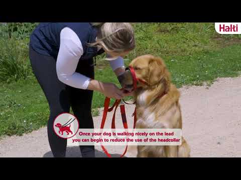 Video koji opisuje proizvod 365 NATURE Pets BIO/ORGANIC Ulje crnog kima za pse i mačke, 100ml