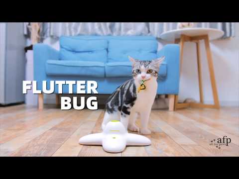 Video koji opisuje proizvod ALL FOR PAWS Interactives Flutter Bug Lepršavi leptir za poticanje igre