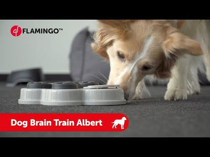 Video koji opisuje proizvod FLAMINGO Albert Braintrain, interaktivna, 1 pretinac, 24x18,5x5,2