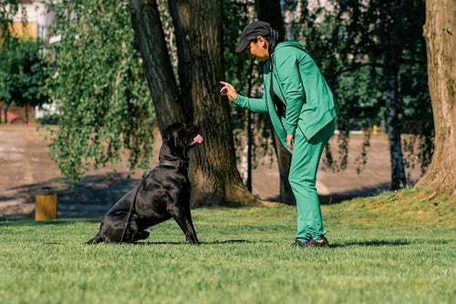 Žena trenira cane corsa u parku